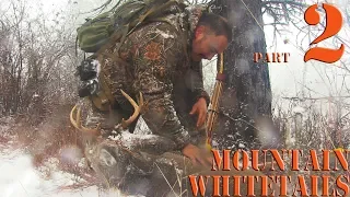 Recurve Bow hunting Whitetail deer with primitive bow Part 2