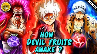 How a DEVIL FRUIT Awakes in One Piece Explained in Hindi