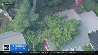 Storms bring down trees across Tri-State Area