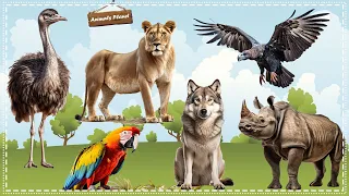 Cute Little Animals Making Funny Sounds: Lioness, Ostrich, Vulture, Wolf, Rhinoceros, Parrot