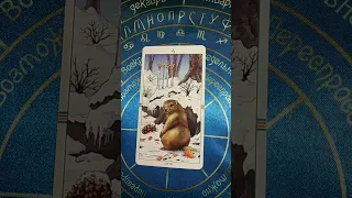 Карта дня 2 декабря #shorts #taroonline #tarot #гаданиеонлайн