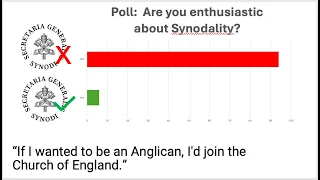 Only 6% of Catholics are Enthusiastic about Synodality.