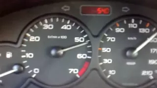 peugeot 206 1.4L 75hp 2000 (0-165km/h)