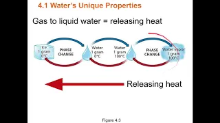 Chapter 04: Part 1, modules 4.1-4.4