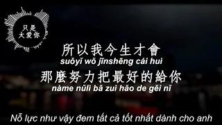 VIETSUB--CHỈ VÌ QUÁ YÊU ANH- ĐINH PHÙ NI