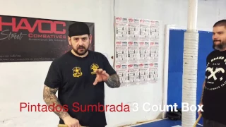 3 Count Box Sumbrada