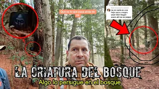 Una CRIATURA EXTRAÑA le PERSIGUE en el BOSQUE | EL CASO de ZACAMOREL en TikTok