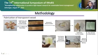 The 14th International Symposium of IWoRS | Transparent Wood  Presentation | Afroza Akter Liza |