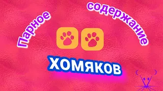 Парное содержание хомяков./О парном содержании хомяков. / Alisa easy pets@.