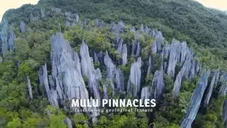 Journey to Mulu National Park & Pinnacles (Sarawak Malaysia) Ultra HD 4K