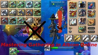 Albion Online Gathering 30 Min in Brecilien | Guide | No Premium 2024