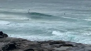 Tamarama Surf Check Tuesday 8th August 2023 9:00am