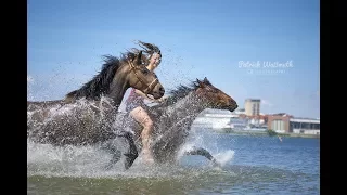 [Mustang Challenge] Tag 20 - Ein PERFEKTER Tag mit den Pferden!