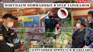 ПОКУПАЕМ ТАРАКАНОВ, ПОЙМАННЫХ В SPAR / МЕНТ НЕ ХОЧЕТ СЛУЖИТЬ / ПОЛИЦИЯ БЫКУЕТ И БРОСАЕТ ТРУБКУ, SPAR