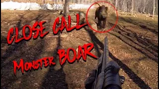 Monster Wild Boar close call