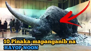 10 Pinakamapanganib na Hayop na Nabuhay noong wala pa ang mga Tao