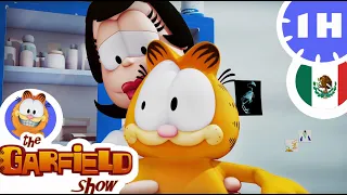 Garfield y Liz: una relación complicada - Nueva Selección