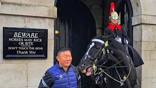 SUPER NIPPER! King's Guard struggles not to laugh as horse deals with tourists!