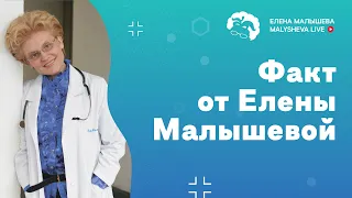 Факт от Елены Малышевой