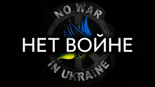 Одесса 05 и 06 марта 2022 г . Воздушная тревога. Немного кошачьего позитива.