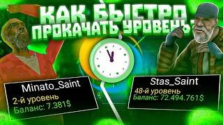 20 ЛВЛ ЗА ЧАС! КАК БЫСТРО ПРОКАЧАТЬ УРОВЕНЬ В 2023 ГОДУ НА ОНЛАЙН РП?