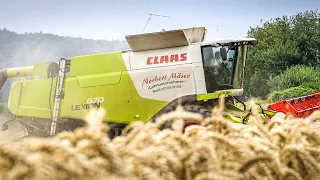 Weizenernte 2021 | Claas Lexion 670 | Lohnunternehmer Kai Ruppel