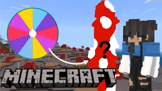 Spinning the wheel to decide my minecraft house 🏡 4