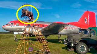 The Pilot Rescued the Bear from the Animal Prison, and this is what Happened ...