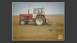 LPG Altenhof  Geschichte der DDR,  im Jahre 1988