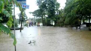 VIDEO BANJIR