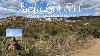 Acton to Tehachapi: Pacific Crest Trail 2022