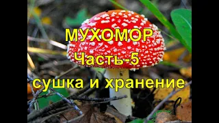 Мухомор. Часть 5. Сушка и хранение