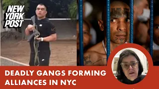 Deadly gangs forming alliances in NYC