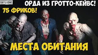 75 Фриков! Орда из Гротто-Кейвс(Grotto Caves Horde). #daysgone #horde #grootocaves #жизньпосле