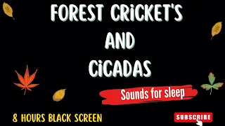 Mother Nature Sounds - Crickets and Cicadas in Forest - 8 Hours Black Screen for Sleep