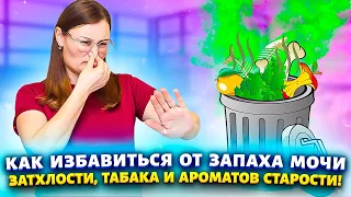 "ПРОЩЕ ПРОСТОГО": избавиться от запаха мочи, животных, сырости, затхлости, табака, дыма, плесени.