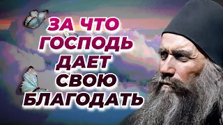 Не думай душа, что любит тебя Господь, если ты... - Силуан Афонский