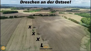 Dreschen an der Ostsee! 3 Großmähdrescher - John Deere X9 1100 &  Claas 8900 Lexion XXXL Rapsernte