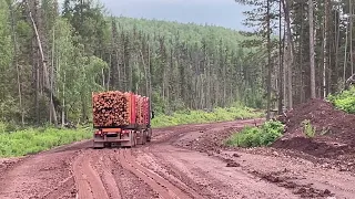 Осторожно мат. Тяжёлый спуск на гружёных лесовозах по мокрой глине