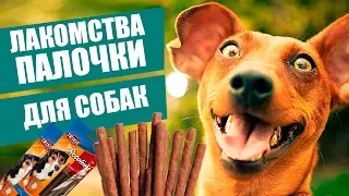 Лакомства для собак Трикси Ротолинис | Обзор лакомства Трикси | Trixie Rotolines review