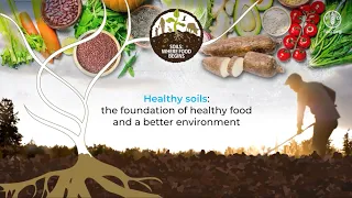 Healthy soils: the foundation of healthy food and a better environment