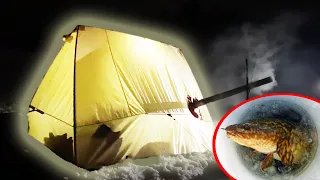 Winter Camping in a Hot Tent ft. The Wooded Beardsman | Burbot Catch and Cook