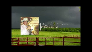 Jorge Guerrero - Petra Narcisa