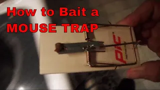 How to set a mouse trap