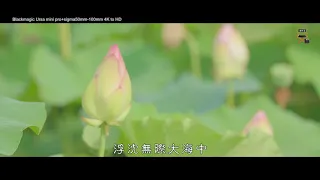 慈濟歌選-生生世世都在菩提中