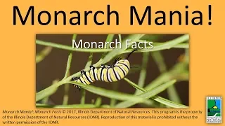 Monarch Mania!: Monarch Facts (CC Available)