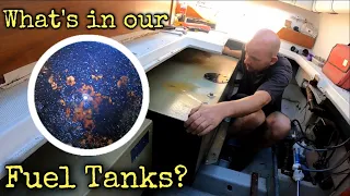 THIS BOAT IS TROUBLE! Dealing With Diesel Bug On A Boat!