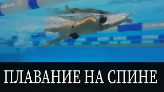 КАК ПЛАВАТЬ НА СПИНЕ? ТЕХНИКА ДЛЯ НАЧИНАЮЩИХ @Swimmate.ru