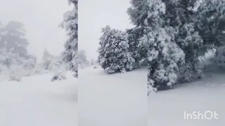 Maroc ❤️ مدينة إفران ❤️ ⛄ سويسرا المغرب ⛄ Ifrane