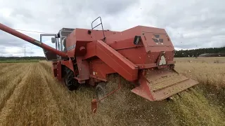 massey ferguson 20    Valtra 8400     tröskning   söndag  4 september  2022